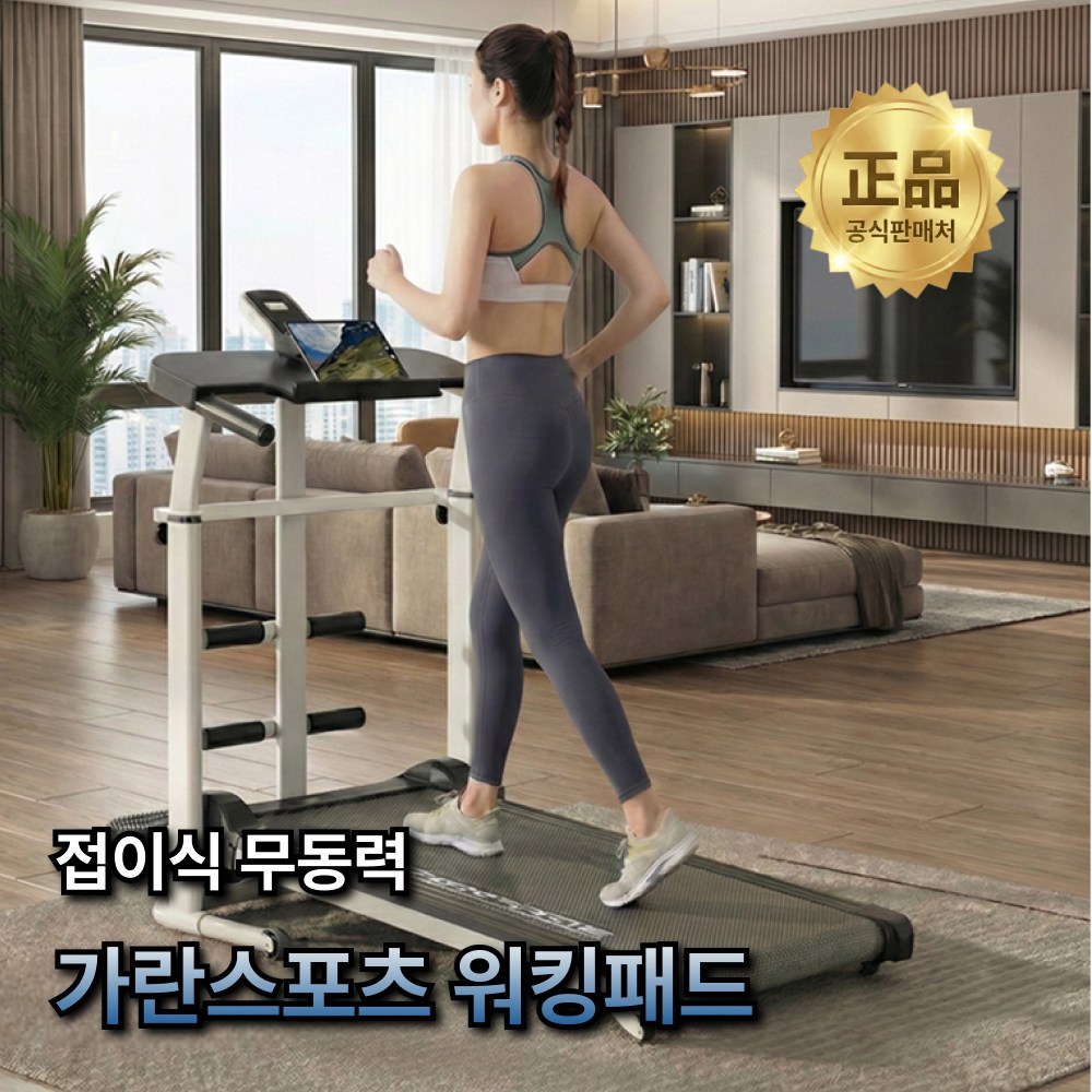 워킹 패드 4위