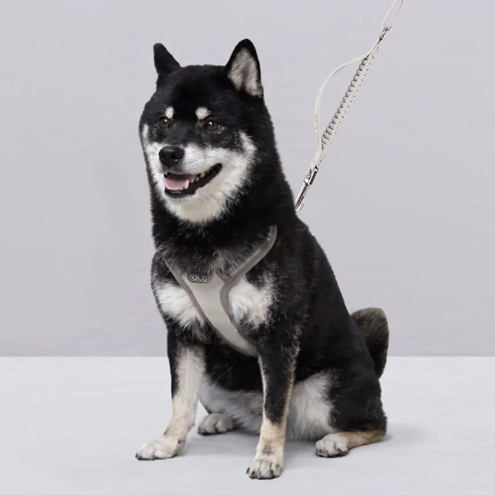 올지 세이프 하네스 용품