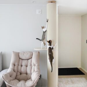 캣트럴파크 고양이 수직 캣타워