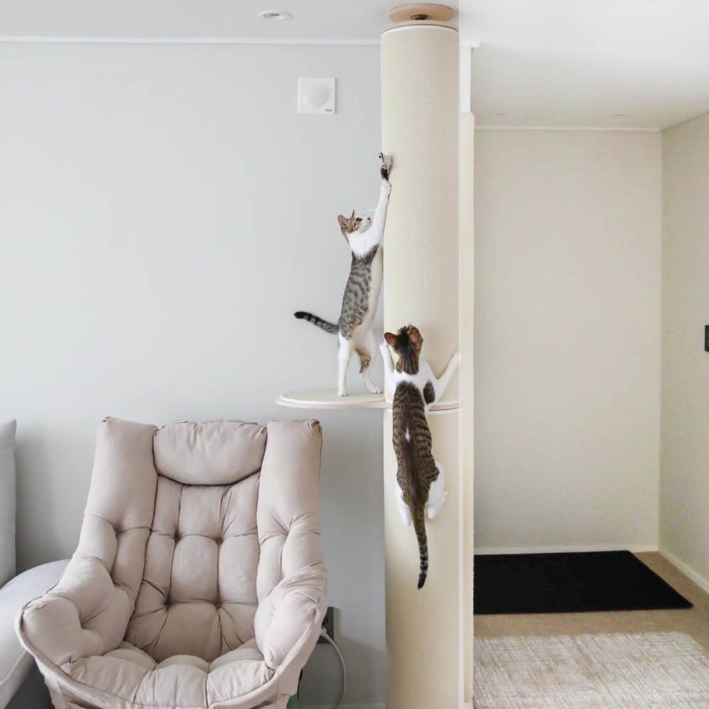 캣트럴파크 고양이 수직 캣타워